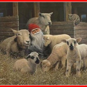 Bonad lamm och tomte