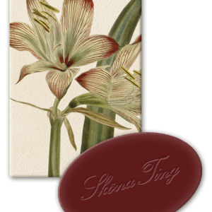 Tvål i pappask Amaryllis
